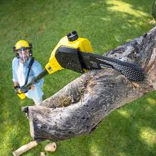 Best Tree Mulching  in Wolf Creek, UT